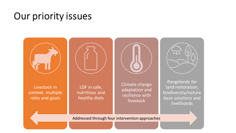 The four priority issues to be addressed through interventions