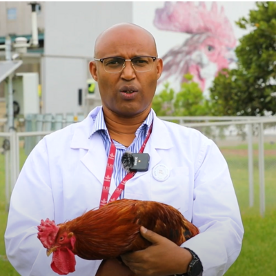 Tropical Poultry Genetic Solutions: Where science meets smallholder needs Tropical Poultry Genetic Solutions: Where science meets smallholder needs