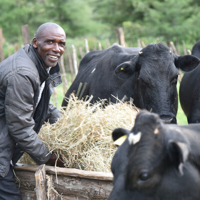 Edwin Mitey Edwin Mitey