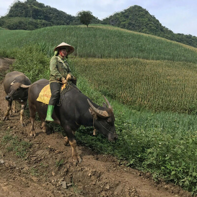 A farmer in Northwest highlands of Vietnam A farmer in Northwest highlands of Vietnam