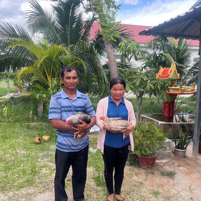 Poultry farmers in Cambodia Poultry farmers in Cambodia