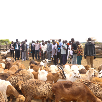 Baringo farmers exchange Baringo farmers exchange