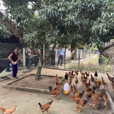 A chicken farmer in Quang Tri Province, Vietnam A chicken farmer in Quang Tri Province, Vietnam
