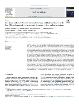 1-s2.0-S0740002025002862-main.pdf.jpg 1-s2.0-S0740002025002862-main.pdf.jpg