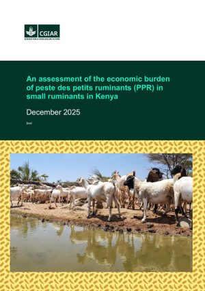 Assessment_burden_PPR_Kenya.pdf.jpg Assessment_burden_PPR_Kenya.pdf.jpg