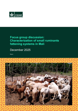 Focus_Group_Discussion_Report_SAAF_Mali.pdf.jpg Focus_Group_Discussion_Report_SAAF_Mali.pdf.jpg