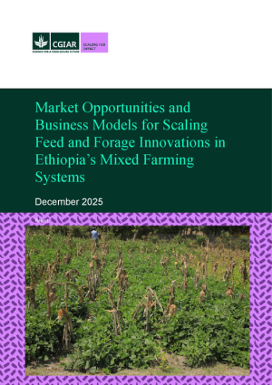 Market Opportunities_2025.pdf.jpg Market Opportunities_2025.pdf.jpg