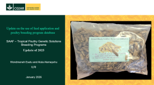 Poultry breeding program.png Poultry breeding program.png