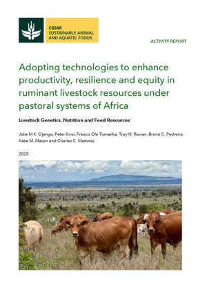 SAAF_ActivityReport_AdoptingTechnologies.pdf.jpg SAAF_ActivityReport_AdoptingTechnologies.pdf.jpg