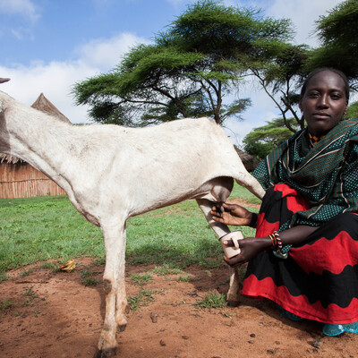 Improving handling practices and microbiological safety of milk and milk products in Borana pastoral communities, Ethiopia