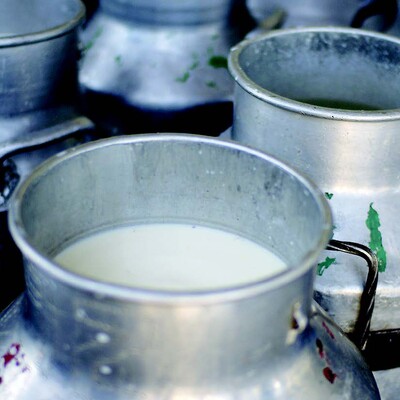 MoreMilk: Making the most of milk