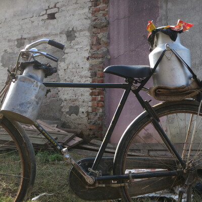 Still life with bicycle and milk cans