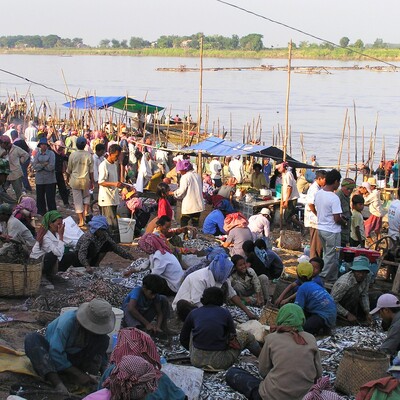 Rapid assessment of potential benefits to human health and nutrition from research on livestock and fish market chains in Asia and Africa