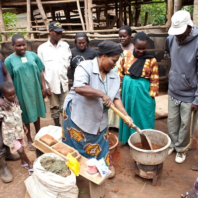 Volunteer Farmer Trainers as agents of change