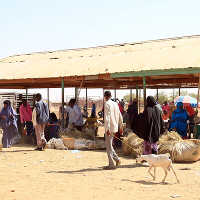 Somaliland's biggest livestock market, Burao (ILRI / Peter Ballantyne).