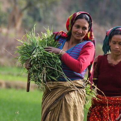 Farmers (ILRI)