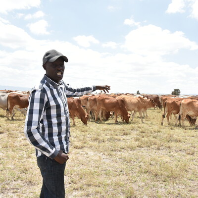 Livestock in Grasslands (ILRI, Kristen Tam)