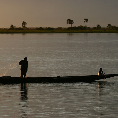 The role of social protection and adaptive social safety nets. 