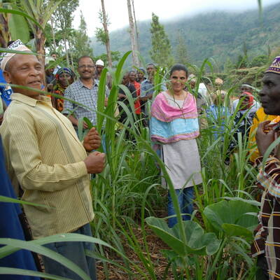 Discussing Napier grass in Ubiri village, Lushoto (Photo: ILRI\Niels Teufel).