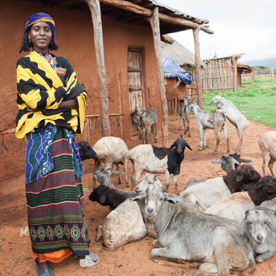 A young Borana woman with her goats (photo credit: ILRI\Zerihun Sewunet).