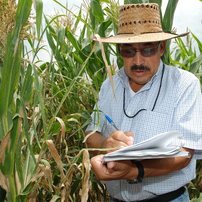 Scientist at work