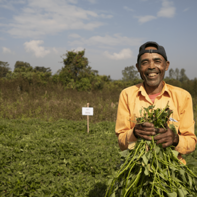 Farmer on the field