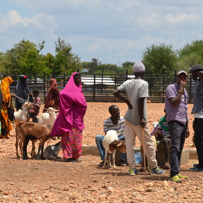 Isiolo Livestock Trade Facilitation (B2B) Forum (ILRI / Judy Kimani).