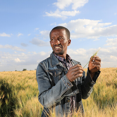 The Africa RISING End-of-Program Report: Highlights of a legacy of agricultural research in development for a sustainable future 