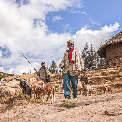 Ethiopian farmer with sheep, in the drought-prone hotspot of the Blue Nile basin, Ethiopia (ILRI/Zerihun Sewunet).