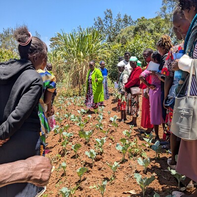 Field day participants learn from an adaptation pioneer (photo credit: ILRI).