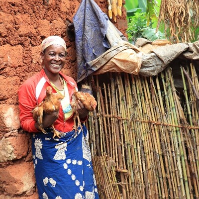 Candide Nshimirimana, a beneficiary from Masango Hill in Muramvya Province and a member of the Tuje Hamwe Twese I Muramvya Cooperative fondly holds her SASSO chicken