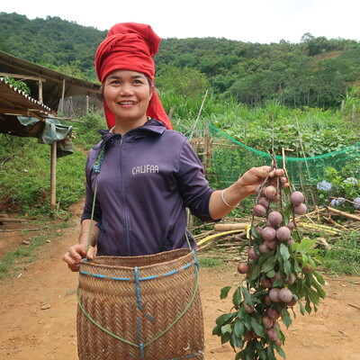 CGIAR Science Day 2023