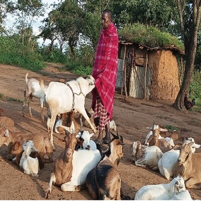 Mr. Oldeede Papayai explaining the use of anti-mating apron for sheep and goats. Photo by Birikaa Olesikilal/ILRI.