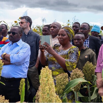 Some of attendees at the field visit during the Ress Comm II launch (photo credit: IITA/Hadi Rashid).