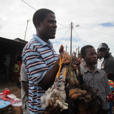 Man with chicken (ILRI/Mann)