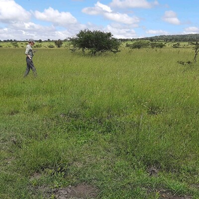 Surveying the grassland landscape