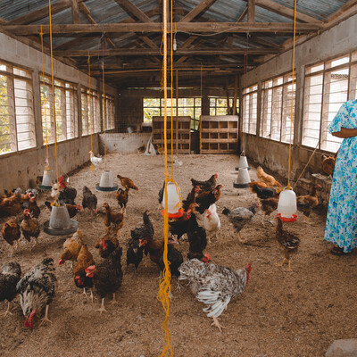 Tatu Ibrahimu, a unit brooder leader under AKM Glitters in Tanzania.