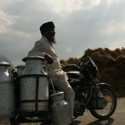 Strengthening capacity to tackle methane emissions from livestock in India