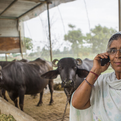 Climate agroadvisories in India