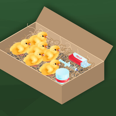 Colored drawing of chicks in a cardboard box with vaccines