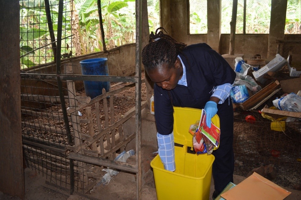 One of the researchers collects medicine and supplement packs from a bin at one of the poultry farms during the study (photo credit: ILRI/ Pamela Wairagala).