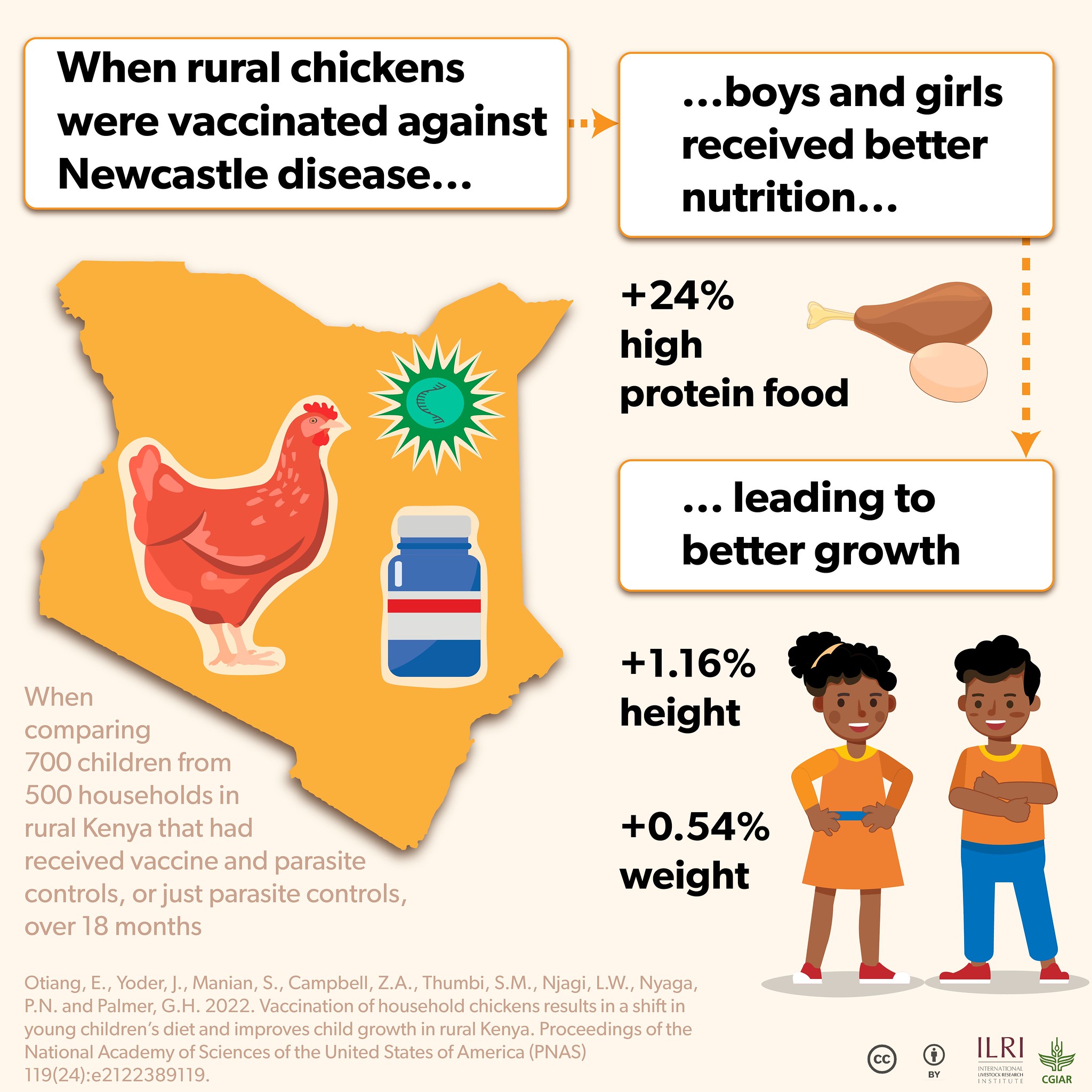 Newcastle disease and impact on household nutrition