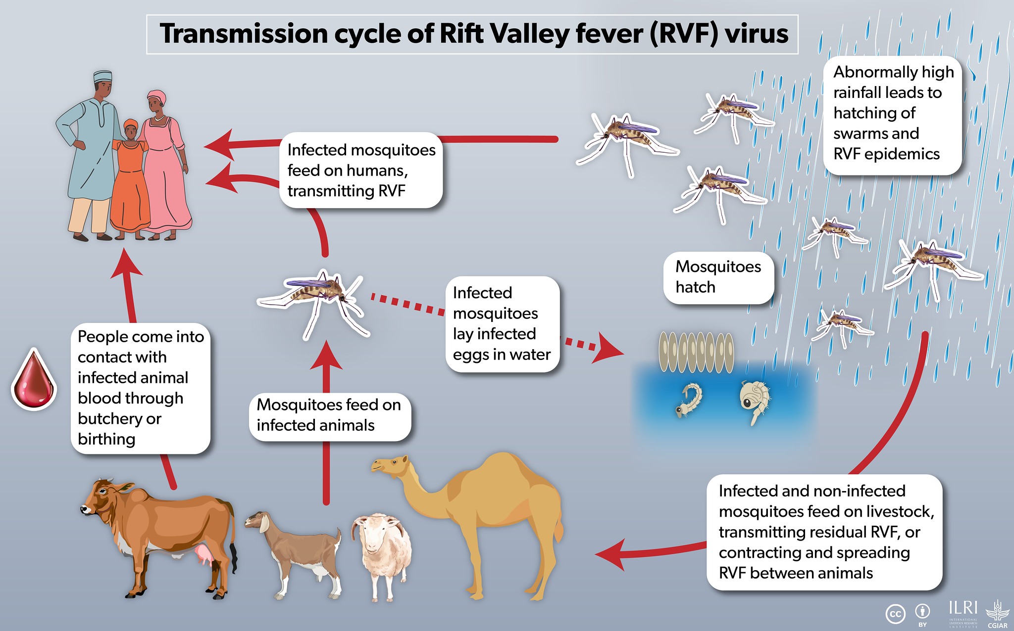 Bridging science and tradition to tackle zoonotic diseases in Isiolo ...