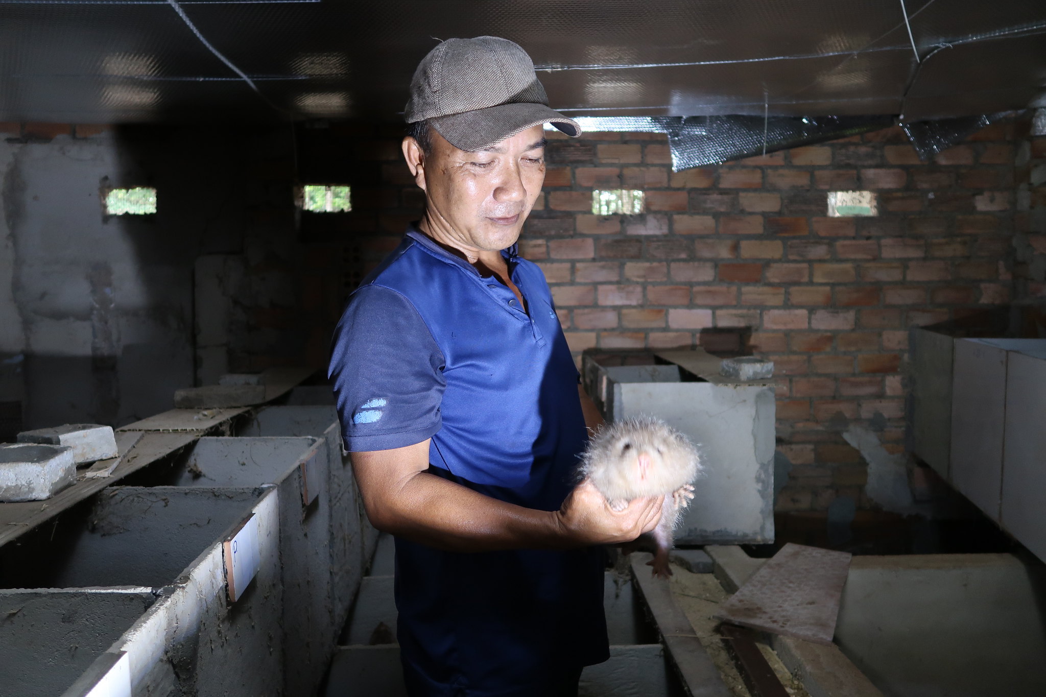 Bamboo rat farm in Vinh Cuu District, Dong Nai Province, Vietnam (photo credit: ILRI/Chi Nguyen).