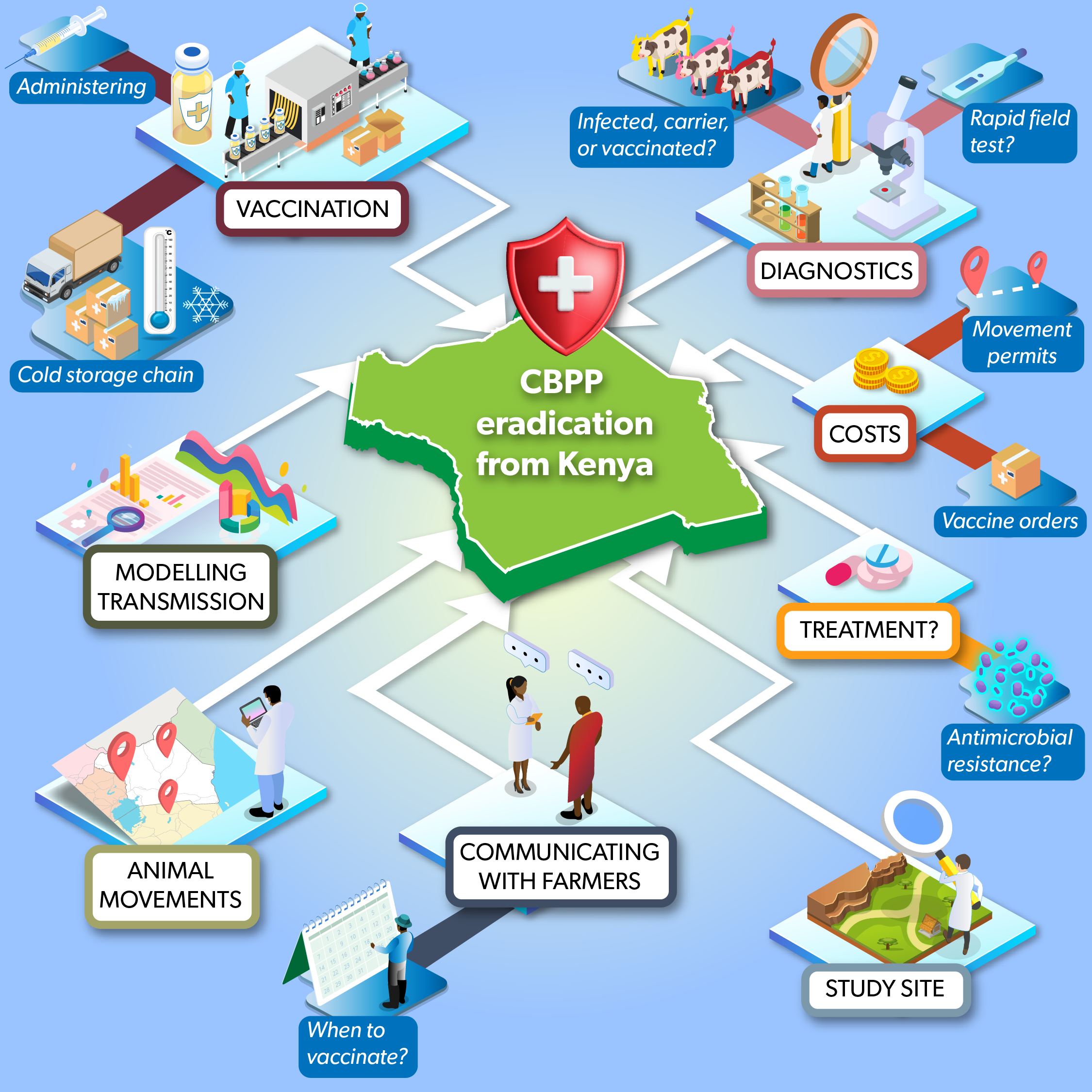 Infographic about how CBPP might be eradicated