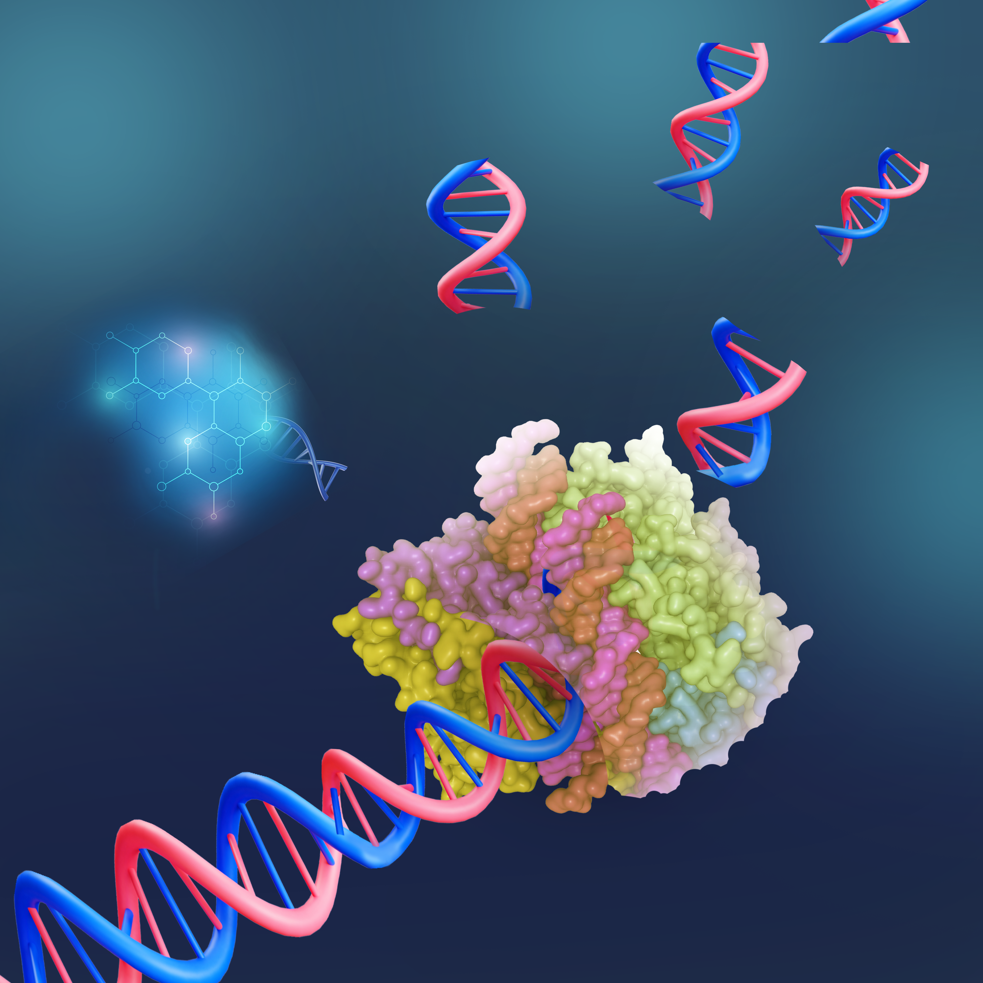 CRISPR-Cas12a