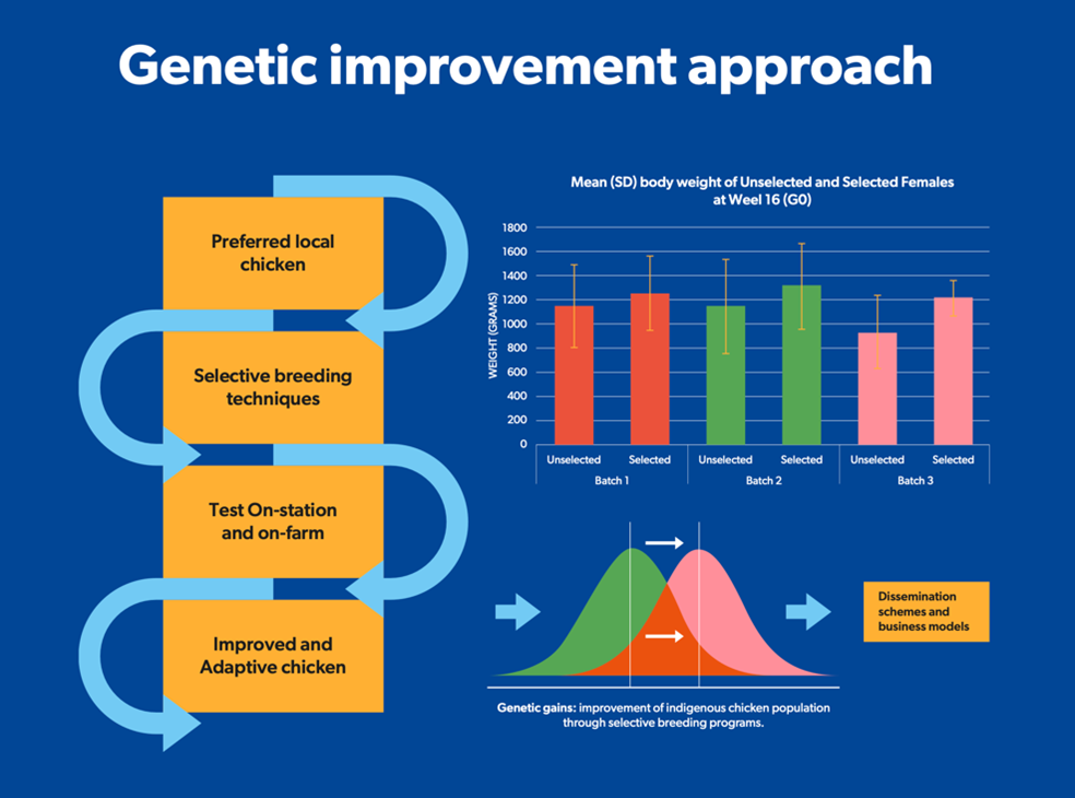 Genetic improvement approach