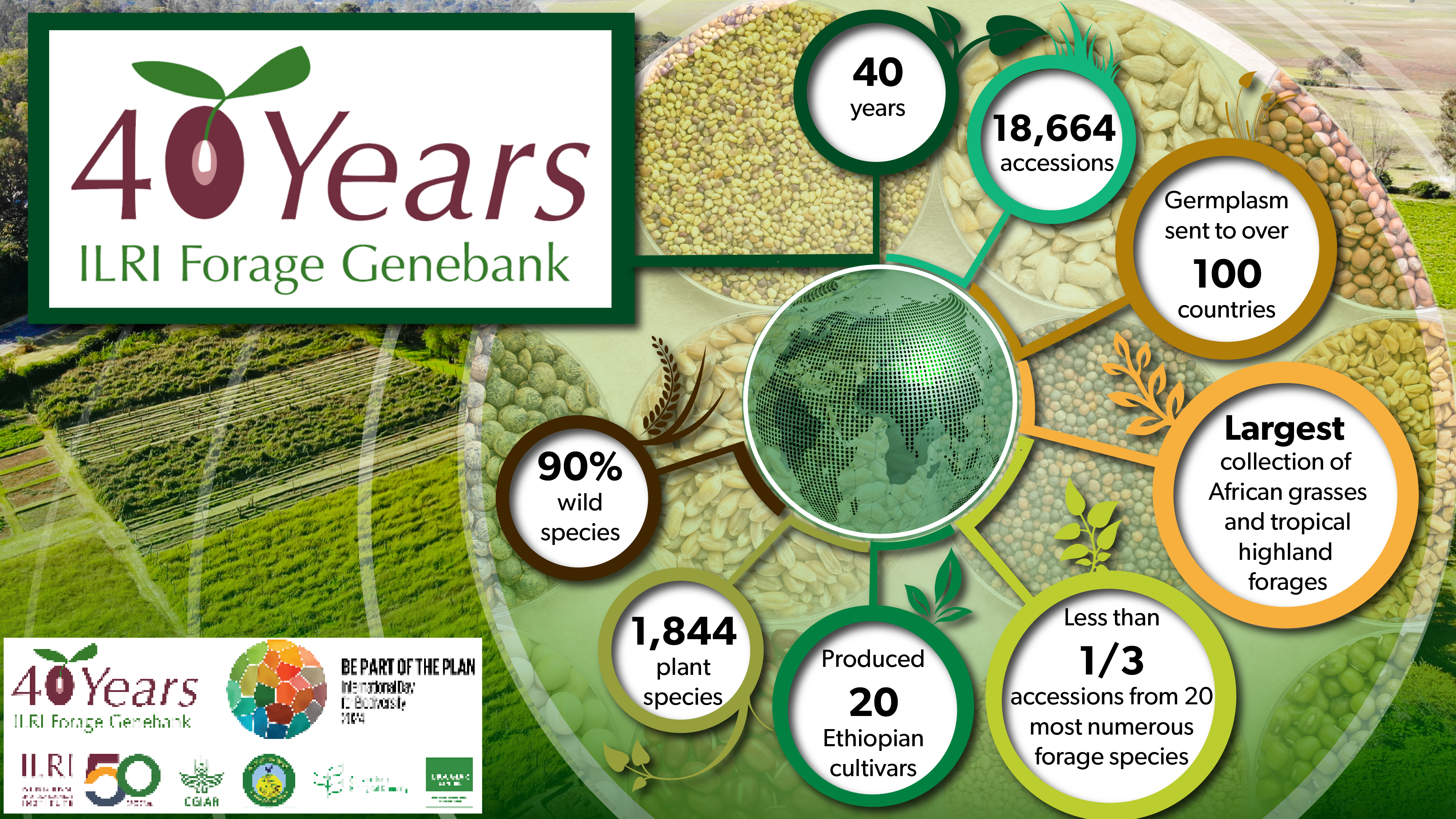 Infographic about the ILRI forage genebank