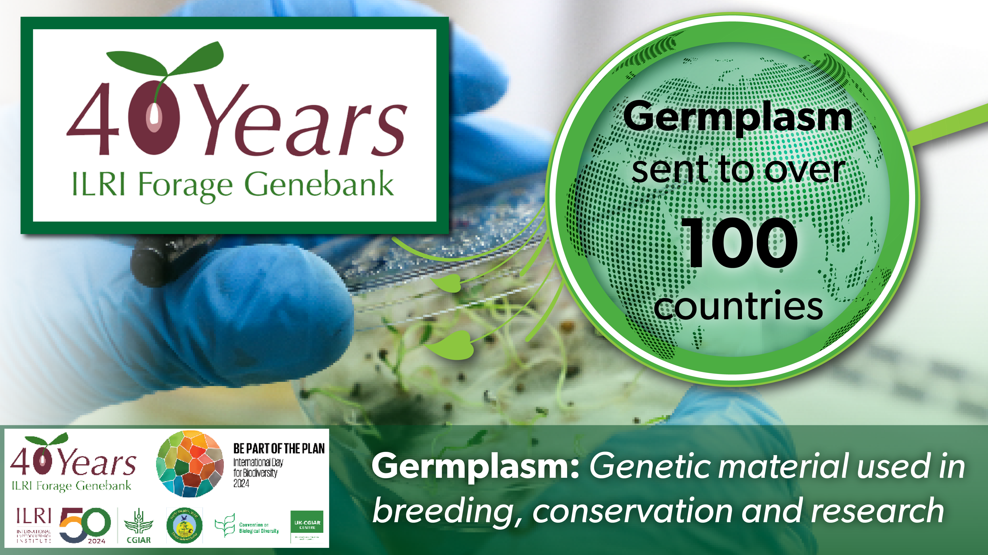 Infographic about forage genebank and germplasm