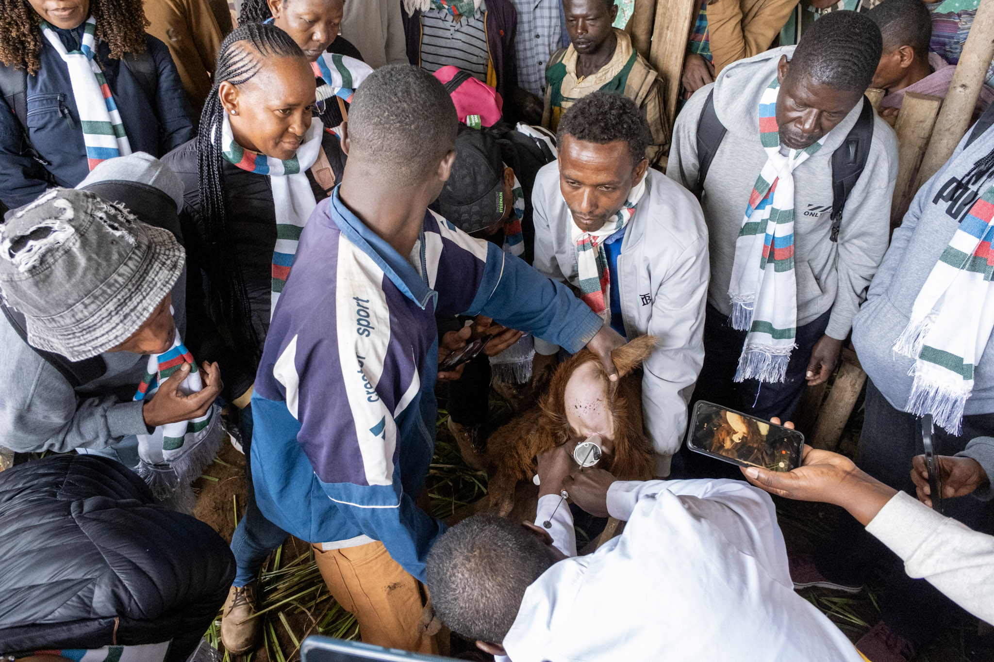 Figure 3. Learning event during a recent event in Bonga. Photo credit: ILRI/ Brook Makonnen
